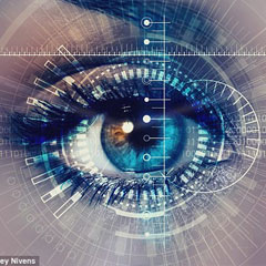 vision